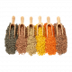 Pulses, Grains & Flour