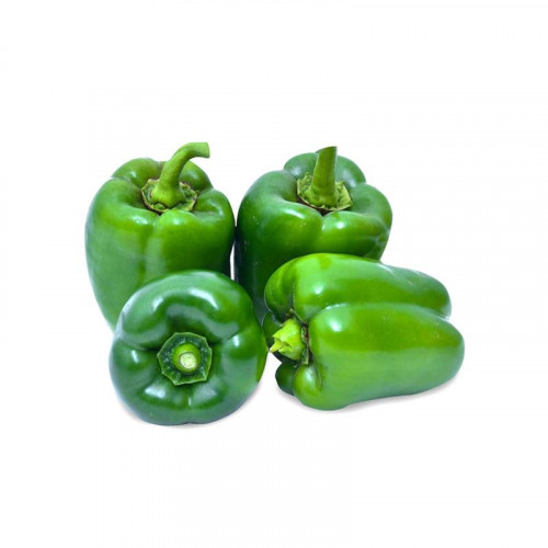CAPSICUM KGS
