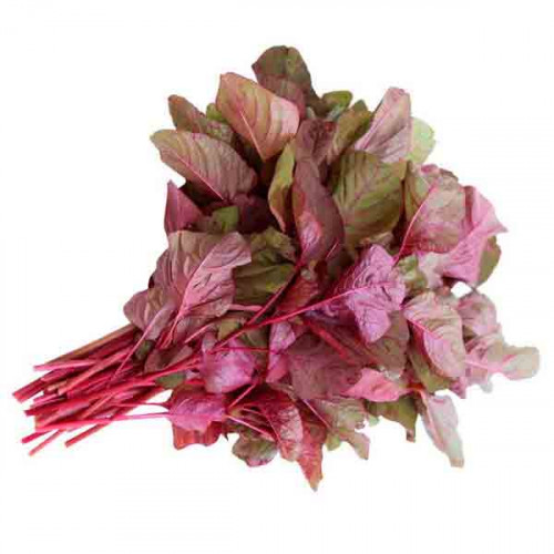 Red Spinach - Bunch  Red Spinach - Bunch