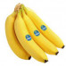 BANANA ECUADOR KG BANANA ECUADOR KG