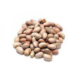 INDIAN JACK FRUIT SEEDS