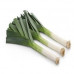 LEEKS HOLLAND 1 KGS
