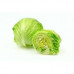 LETTUCE ICEBERG TURKEY KG LETTUCE ICEBERG TURKEY KG