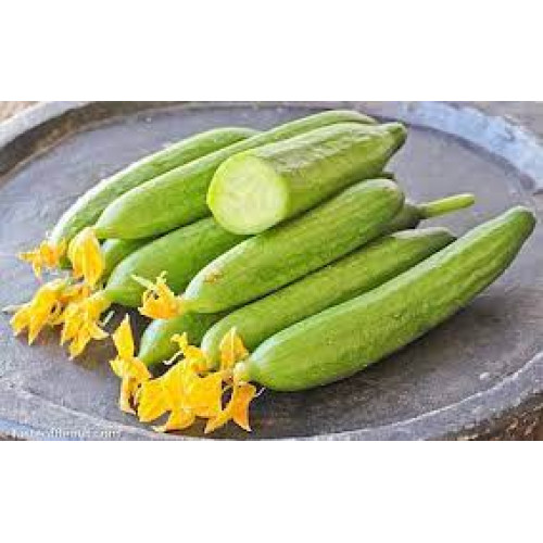 WILD CUCUMBER 1 KGS WILD CUCUMBER 1 KGS