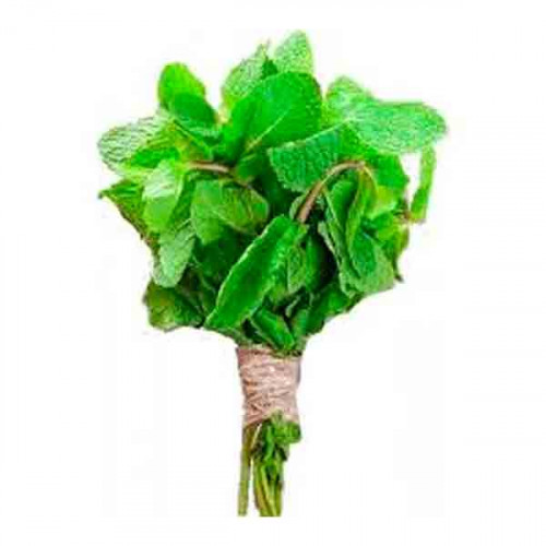 Mint Leaves - Bunch  Mint Leaves - Bunch