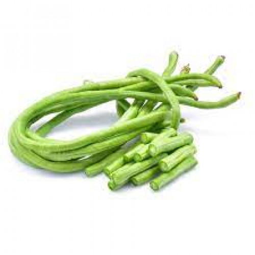STRING BEANS THAILAND PC STRING BEANS THAILAND PC