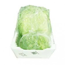 LETTUCE ICEBERG FOAM BOX-SMALL