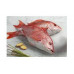 RED SNAPPER MARINATED DOHA KG RED SNAPPER MARINATED DOHA KG
