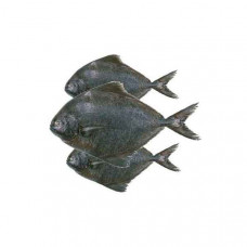 Fresh Black Pomfret Fish - 1Kg (Approx) 