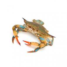 Fresh Blue Crab - 1Kg (Approx) 