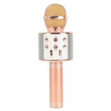 WSTER MIC WITH SPEAKER WS-858