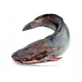 Fresh Cat Fish - 1Kg (Approx)