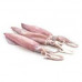 SQUID SMALL KUWAIT 1 KGS SQUID SMALL KUWAIT 1 KGS