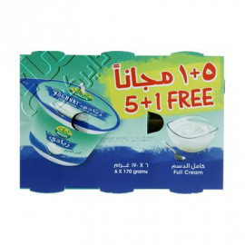 Nada Full Fat Yoghurt 6 x 170gm