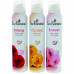 Enchanteur Body Mist 3Pc X 150Ml Spcl Offer Enchanteur Body Mist 3Pc X 150Ml Spcl Offer
